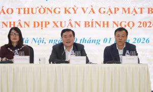 Bộ Công Thương tham vấn chuyên gia, khẳng định xăng E10 đủ điều kiện sử dụng