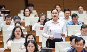 Nhiều ý kiến thảo luận về dự thảo Luật Bảo hiểm xã hội (sửa đổi)