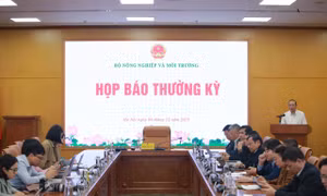 Xuất khẩu nông lâm thủy sản năm 2025 dự kiến đạt mốc kỷ lục mới