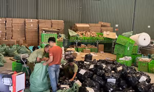 Hà Nội liên tiếp thu giữ số lượng lớn hàng hóa không rõ nguồn gốc 