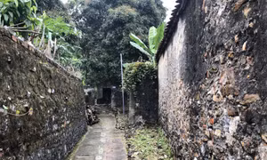 Vẻ đẹp bình dị và độc đáo của làng cổ Đông Sơn 