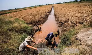 Nhiều thách thức về an ninh nguồn nước ở Việt Nam