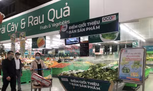 Các siêu thị vào cuộc 'giải cứu' tiêu thụ nông sản Hải Dương