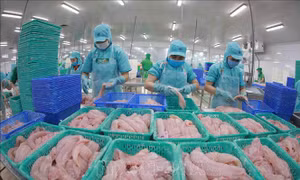 Ngân hàng cũng ‘đỏ mắt’ tìm khách vay 