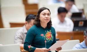 Đại biểu kỳ vọng Luật Đất đai (sửa đổi) sẽ giải quyết đồng bộ các vướng mắc