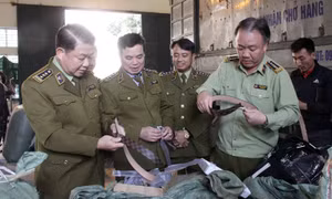 Cuộc chiến chống hàng giả hàng nhái trên thương mại điện tử bắt đầu 'nóng'