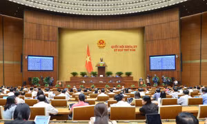 Đại biểu đánh giá cao nội dung chất vấn và trả lời chất vấn của hai trưởng ngành