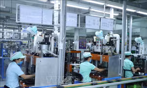Kết luận của Phó Thủ tướng Lê Văn Thành tại một số cuộc họp quan trọng