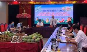 Sẽ bán nông sản qua kênh livestream trên các nền tảng số