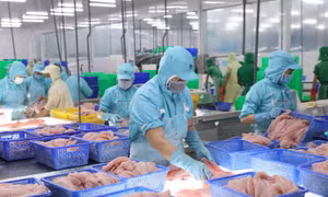 Ngày Doanh nhân Việt Nam: Nền tảng xây dựng văn hóa doanh nhân