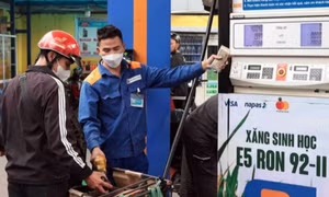 Đẩy nhanh sử dụng xăng sinh học, mở ra cơ hội cho năng lượng và kinh tế