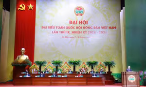 Kỳ vọng mở không gian phát triển mới cho nông nghiệp, nông dân, nông thôn