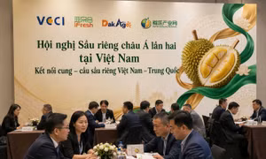 Hội nghị Sầu riêng châu Á lần thứ 2 tại Việt Nam: Giúp nông dân xuất khẩu ngay tại vùng trồng