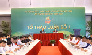 Đề xuất xây dựng hệ sinh thái số kết nối toàn diện cho nông dân