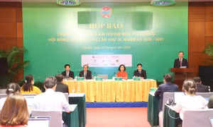Đại hội đại biểu toàn quốc Hội Nông dân Việt Nam lần thứ IX thành công tốt đẹp