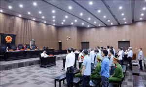 Vụ Tập đoàn Thuận An: Nhiều bị cáo nguyên là cán bộ Nhà nước bị tuyên án