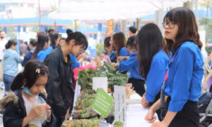 'Đổi rác lấy cây', lan tỏa lối sống xanh