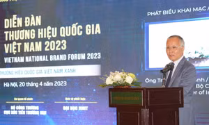 Doanh nghiệp thương hiệu quốc gia Việt Nam đã có sự tăng trưởng vượt bậc 