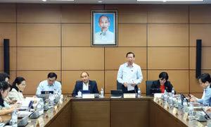 Chủ tịch UBND TP Hồ Chí Minh: Cần lành mạnh hóa thị trường bất động sản