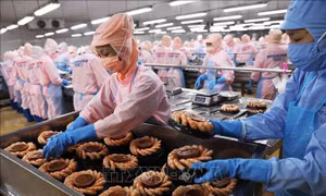 80 năm ngành Nông nghiệp và Môi trường: Từ ‘diệt giặc đói’ đến cường quốc xuất khẩu nông sản 