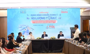 Thúc đẩy phát triển nguồn năng lượng tái tạo tại Việt Nam