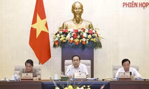 Đường sắt tốc độ cao Bắc - Nam cần sử dụng 10.827 ha đất