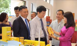 Hỗ trợ vốn cho nông dân, hướng tới xây dựng 'tam nông' tiên tiến, hiện đại 
