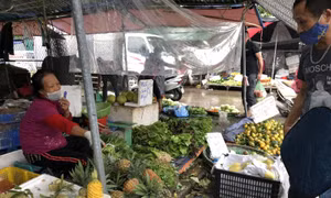Hà Nội: Rau xanh được mùa, nông dân có lãi