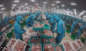 Bộ Công Thương tiếp tục hỗ trợ doanh nghiệp xử lý vướng mắc trong xuất khẩu