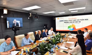 Hoàn thiện pháp lý, cơ chế để đẩy nhanh tiến độ và chất lượng cổ phần hóa  doanh nghiệp 