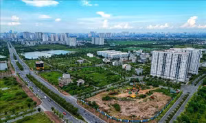 Yêu cầu các địa phương báo cáo tiến độ cơ sở dữ liệu đất đai trước ngày 8/8
