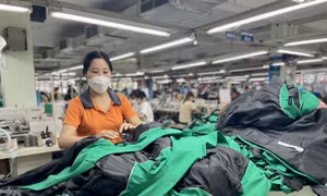 Doanh nghiệp dệt may phải làm gì để đáp ứng quy định mới của EU?