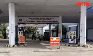 TP Hồ Chí Minh: 121 cửa hàng xăng dầu đóng cửa do hết hàng