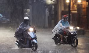 Thời tiết đêm 21/9: Mưa to khắp cả nước, cảnh báo lũ quét và ngập úng