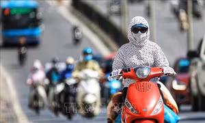 Từ tháng 7 - 9, nhiệt độ có xu hướng cao hơn trung bình nhiều năm 