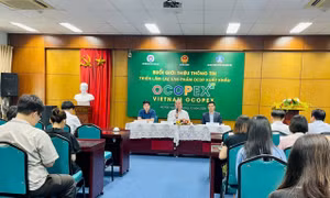 Quảng bá sản phẩm OCOP xuất khẩu, tạo sức bật trên thị trường thế giới 