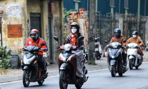 Người dân miền Bắc sẽ đón Tết Tân Sửu trong thời tiết ấm áp