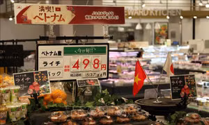 Tăng lực để trái cây Việt tiếp cận những thị trường 'khó tính'