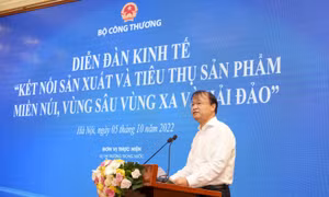 Nhiều đặc sản của miền núi, hải đảo đã vào hệ thống phân phối, xuất khẩu