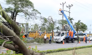 Có 173 khách hàng tại Chương Mỹ bị mất điện do ảnh hưởng của mưa bão