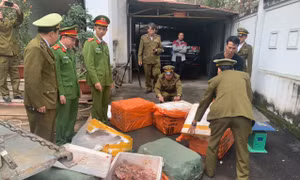 Liên tiếp thu giữ thịt lợn, hàng hóa không rõ nguồn gốc dịp giáp Tết