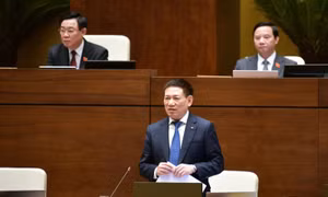 Chuyển cơ quan điều tra các vụ có dấu hiệu sai phạm về bảo hiểm 