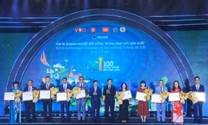 Công bố 100 doanh nghiệp bền vững tại Việt Nam năm 2023