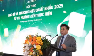 Xu hướng bao bì và thương hiệu xuất khẩu 2025