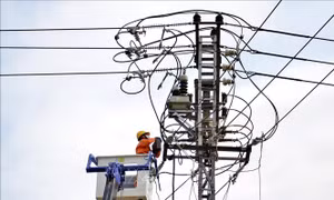 EVNNPT lên phương án ứng phó thiên tai trong tình hình dịch COVID-19