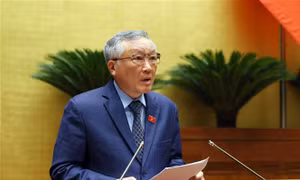 Chánh án Nguyễn Hòa Bình: Chưa phát hiện trường hợp kết án oan người vô tội hoặc bỏ lọt tội phạm