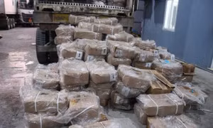 Phát hiện một kho hàng chứa thực phẩm đông lạnh với số lượng lớn đã bốc mùi hôi thối