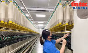 Tăng cường truy xuất nguồn gốc, minh bạch chuỗi cung ứng trước yêu cầu mới của thị trường Hoa Kỳ