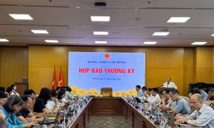 Xuất nhập khẩu nông lâm thủy sản 3 tháng đầu năm đạt 16,69 tỷ USD, tăng 5,9%
