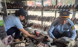 Phát hiện cơ sở kinh doanh giầy dép giả mạo nhãn hiệu thời trang quốc tế